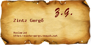 Zintz Gergő névjegykártya